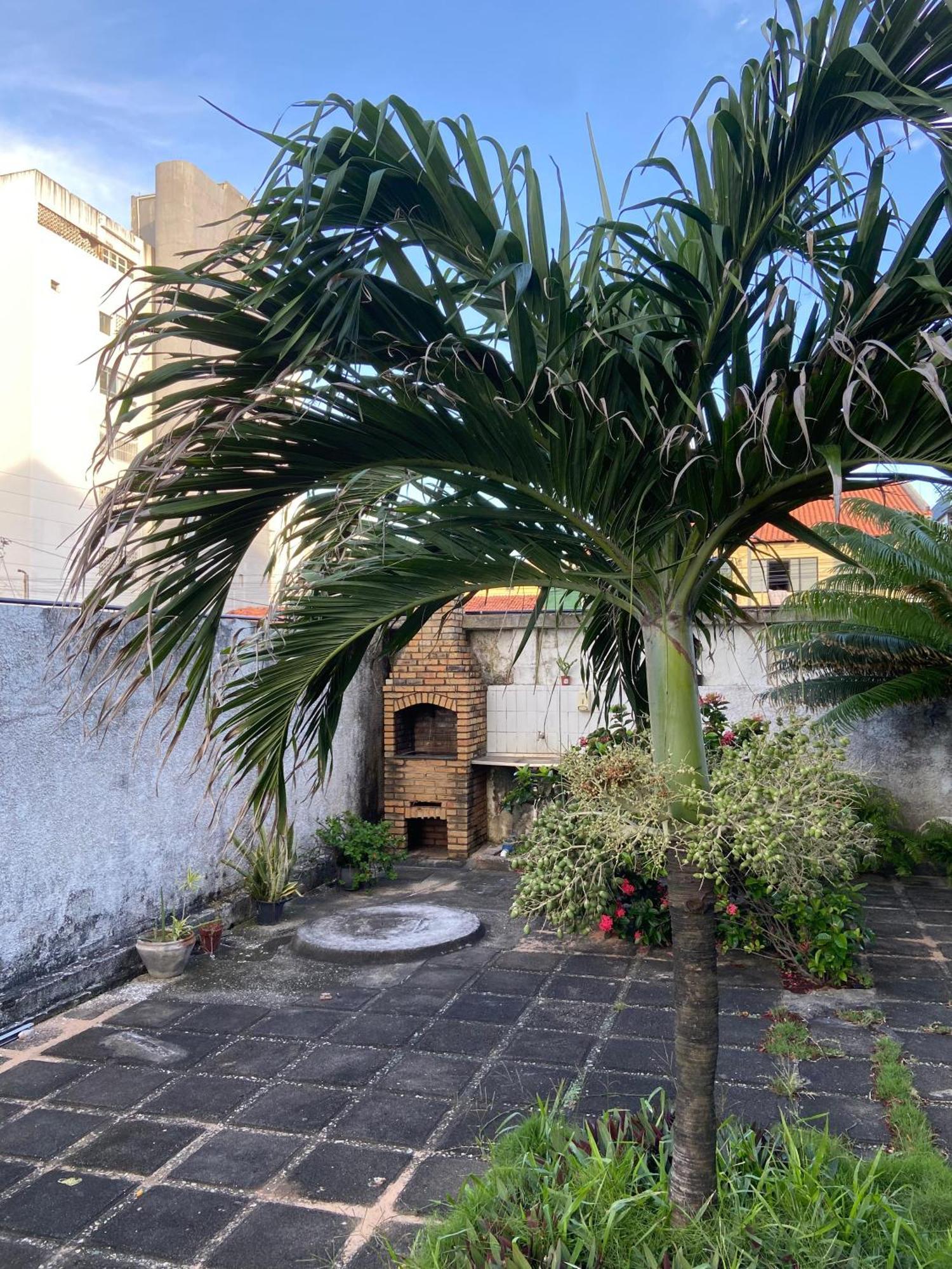 Apto Exclusivo, 200M Da Praia, Horario Flexivel 24 Horas Fortaleza  Exterior foto